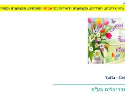 ehud-gefen-1