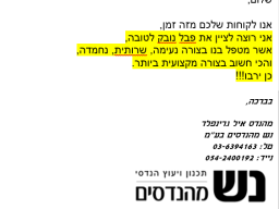 eyal-greenfeld-nash